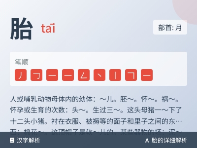 胎的拼音