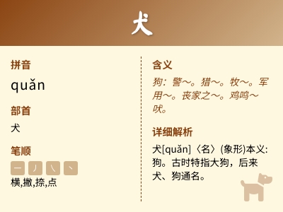 犬的拼音