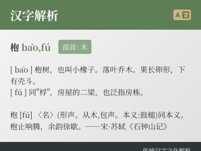 枹怎么读