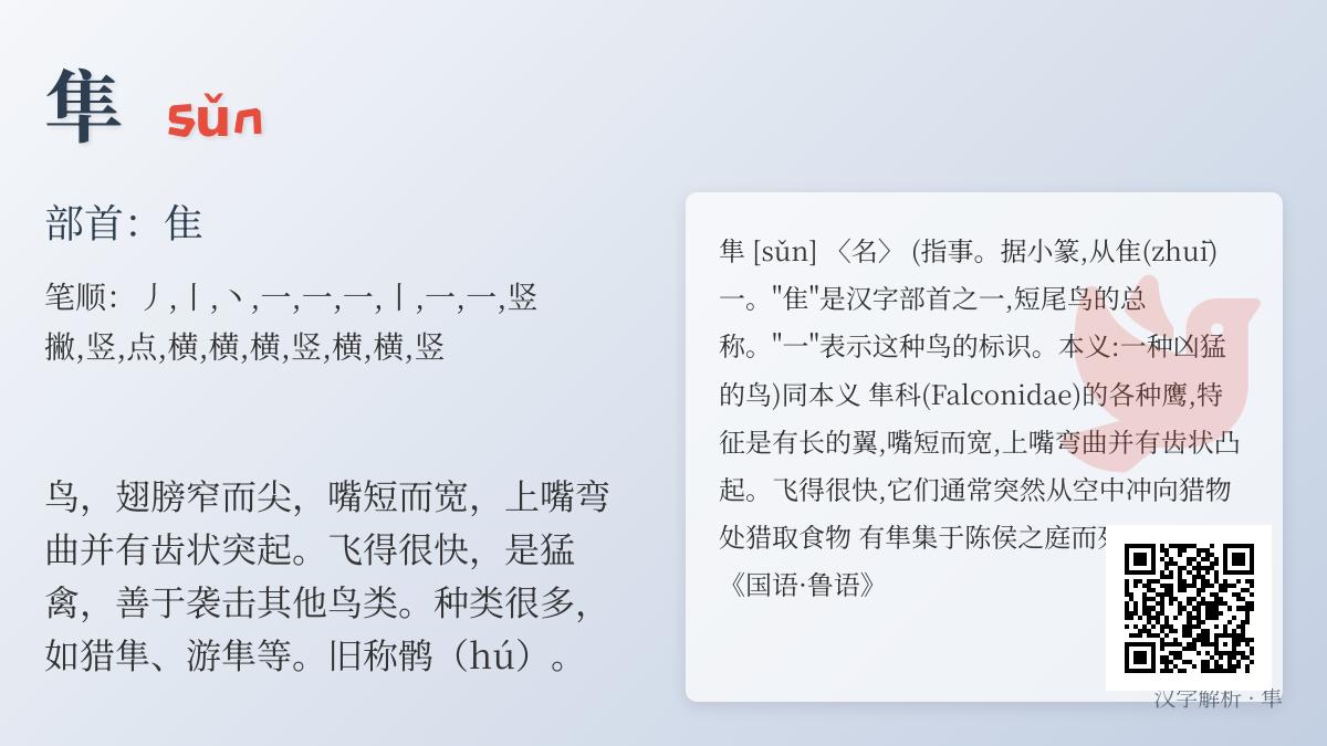 隼的正确读音是什么 探索汉字隼的拼音笔顺与猛禽文化内涵