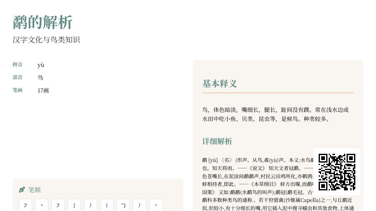 鹬字怎么读yù 解析17画笔顺与鹬蚌相争成语背后的鸟类文化