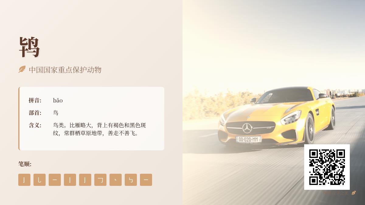 鸨字怎么读bǎo 了解鸨的拼音笔顺含义及组词造句