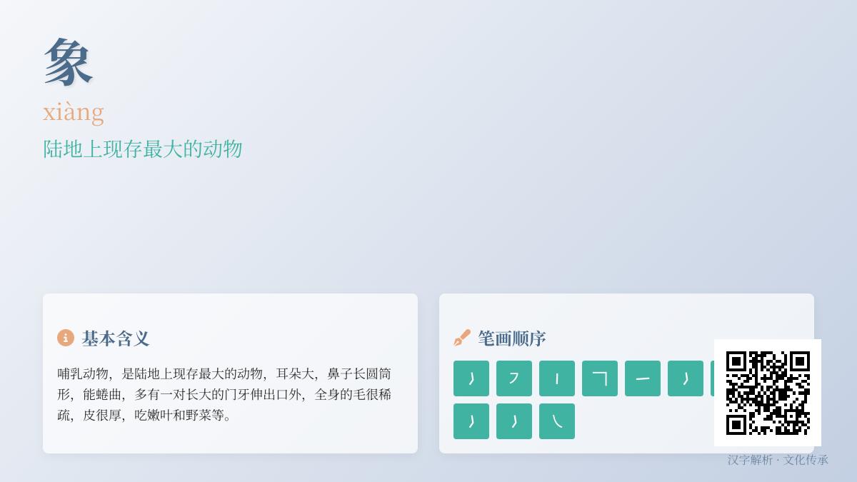 掌握象字拼音xiàng的11笔正确写法与20个实用组词成语解析
