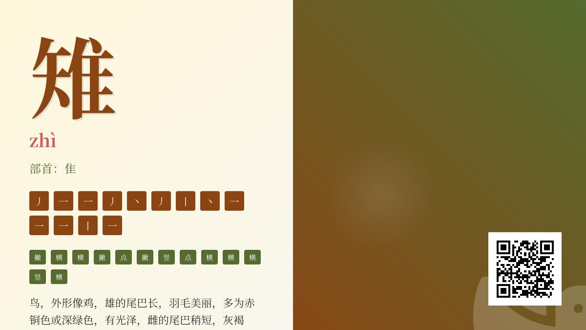 雉的正确读音是什么 拼音笔顺部首含义详解与雉字文化解析