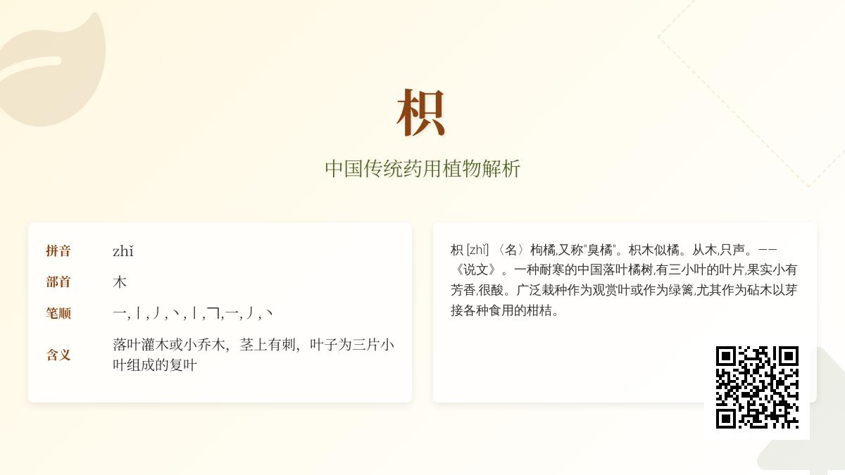 5个关键点教你正确读写”枳”字并了解其植物学奥秘