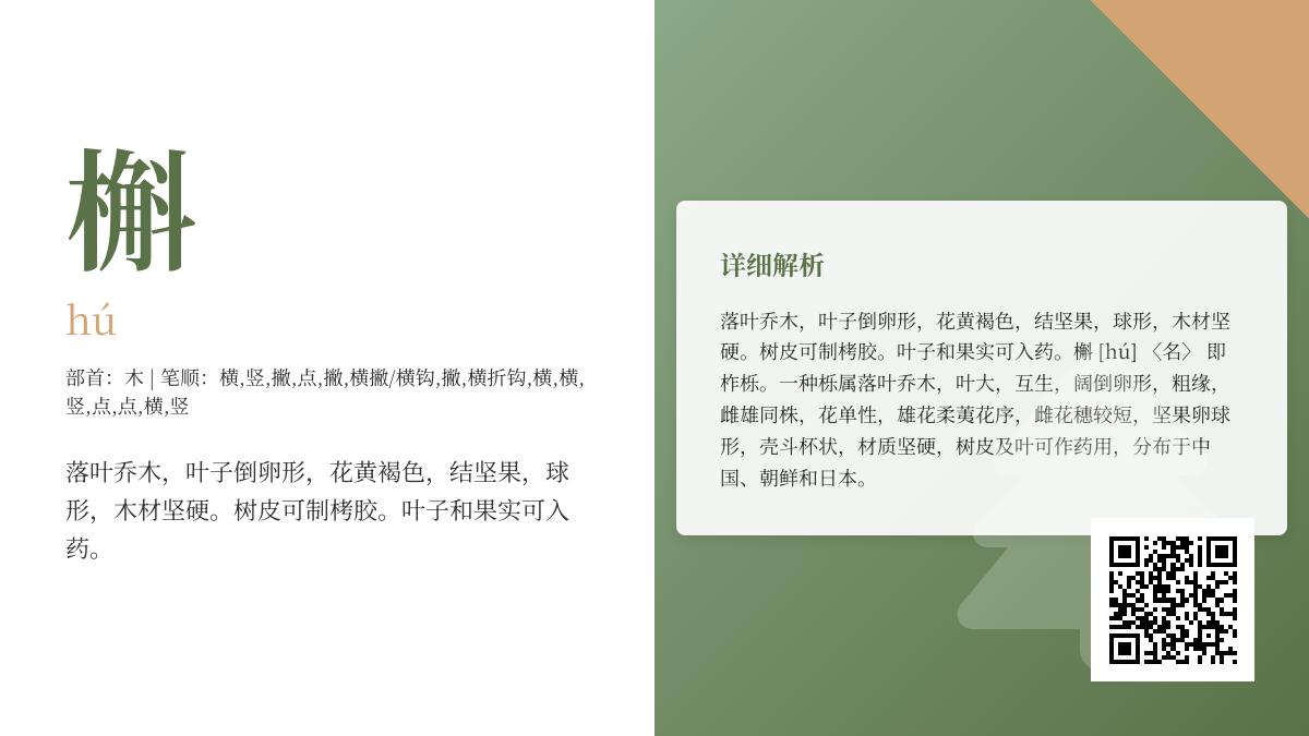 槲怎么读正确发音 15笔书写技巧与槲树药用价值全解析