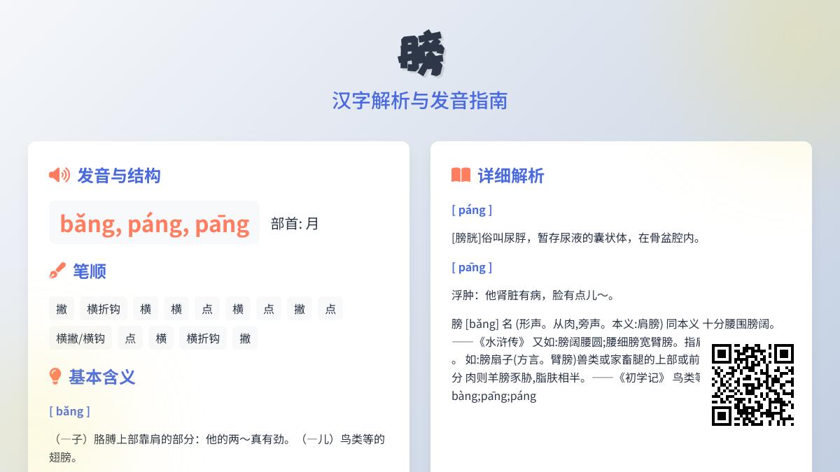 膀的3种读音是什么 多音字膀的部首笔顺及组词造句全解析