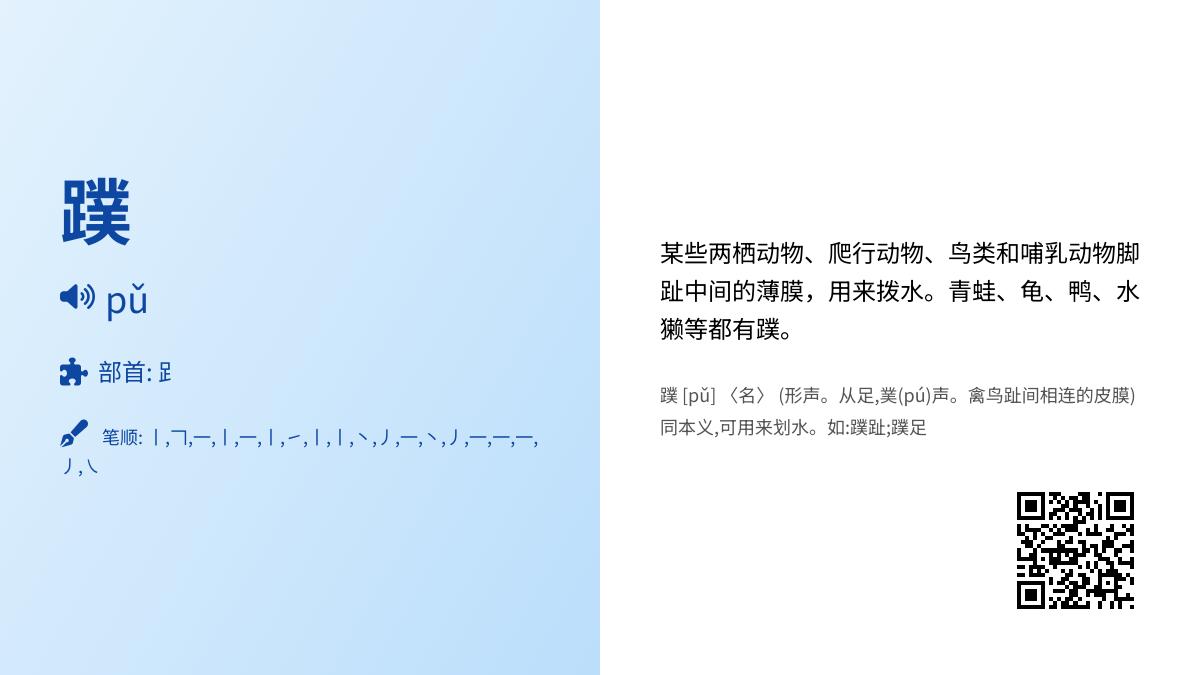 蹼怎么读