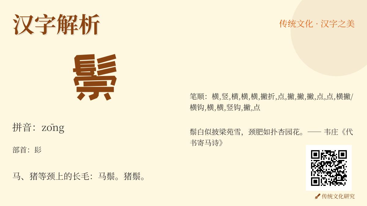鬃怎么读