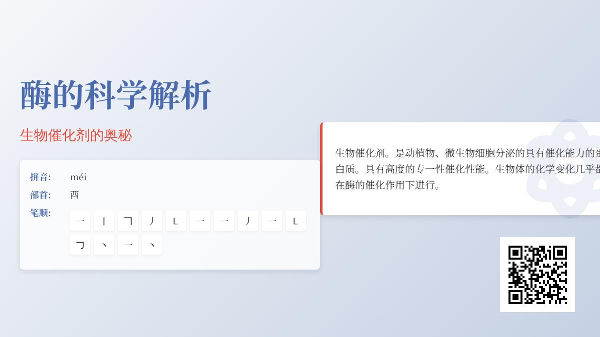 酶怎么读