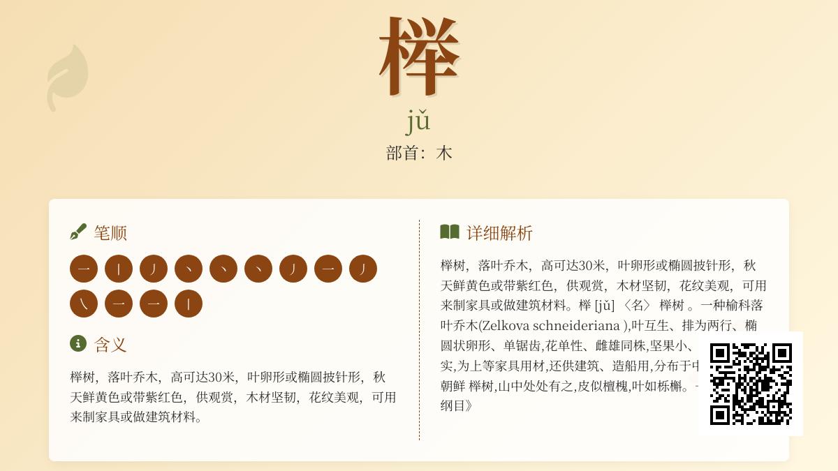 榉怎么读