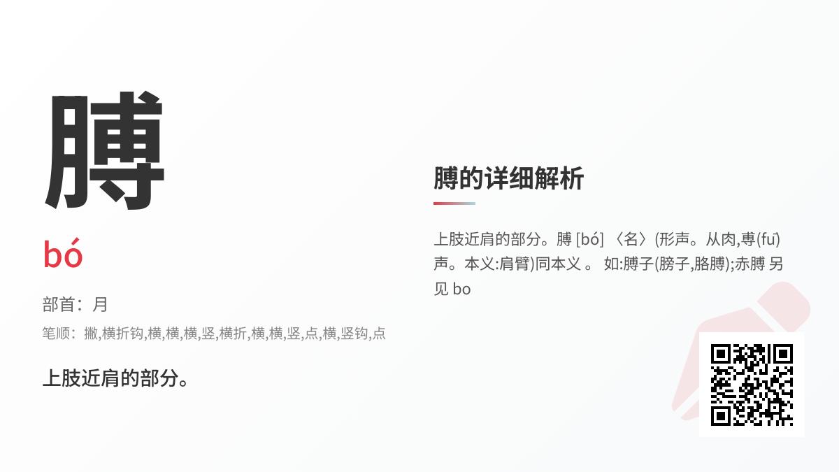 膊的拼音