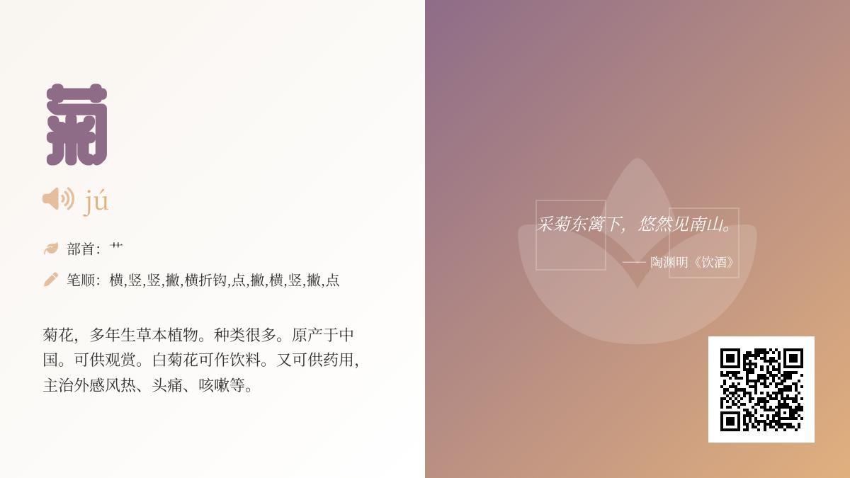 菊的拼音