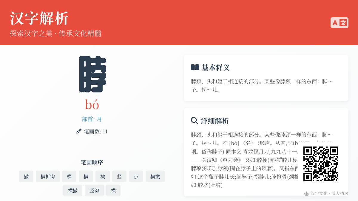 脖的拼音
