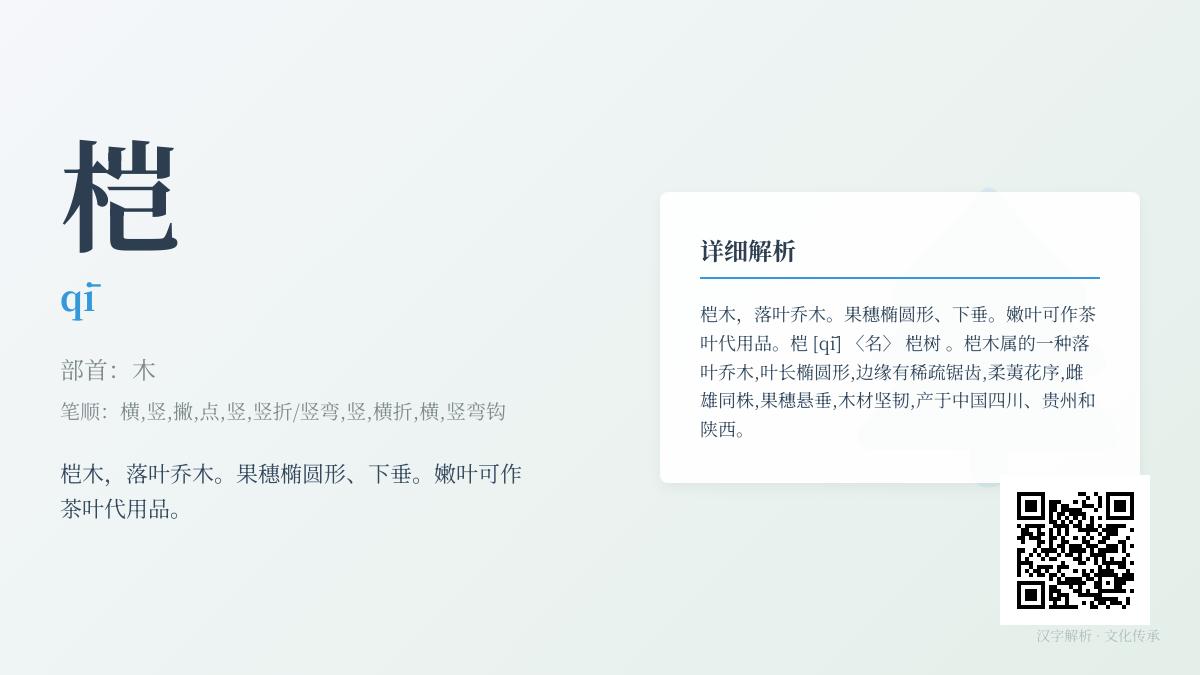 桤怎么读