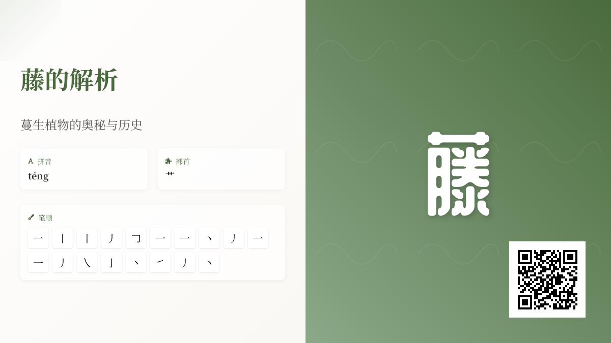 藤的拼音