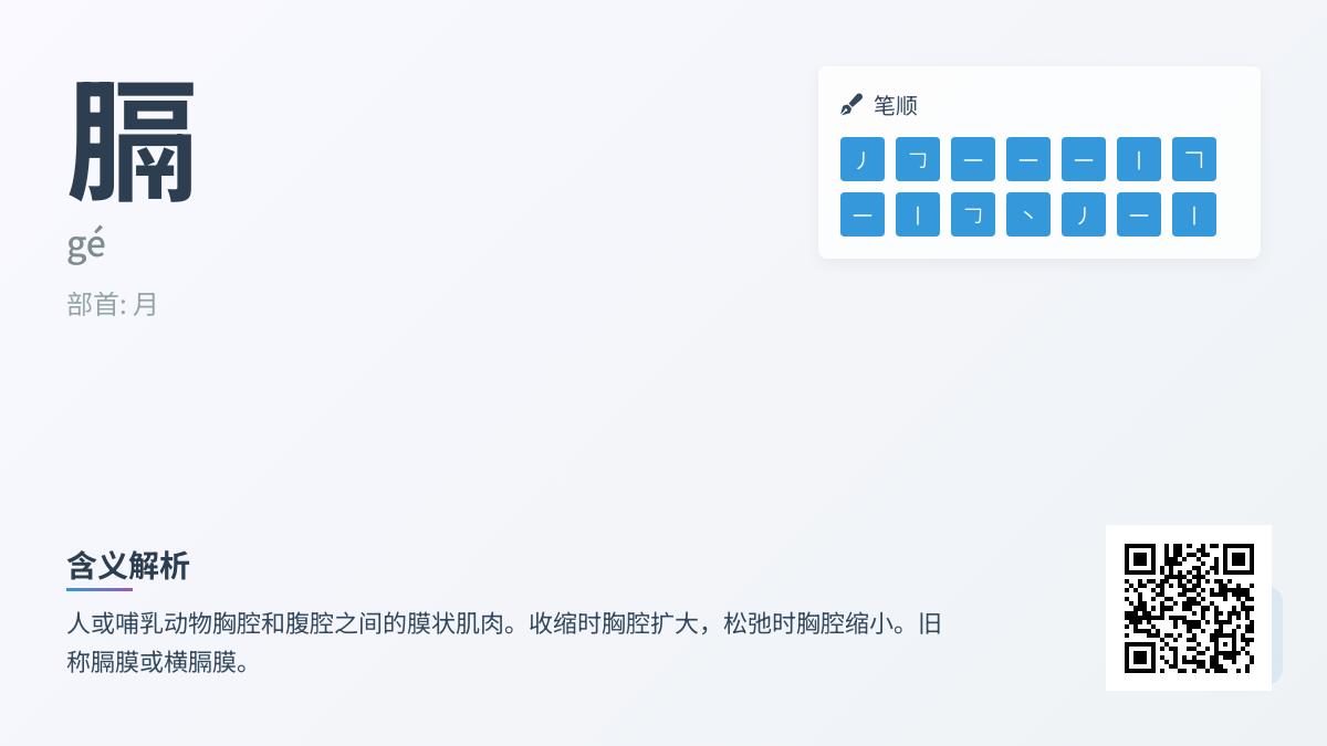膈怎么读