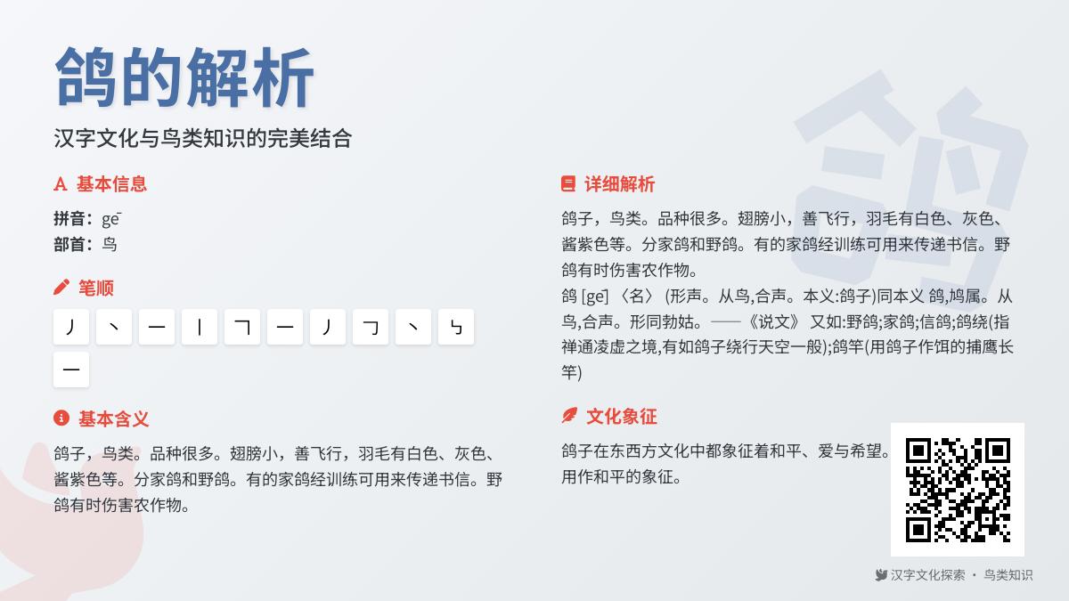 鸽怎么读