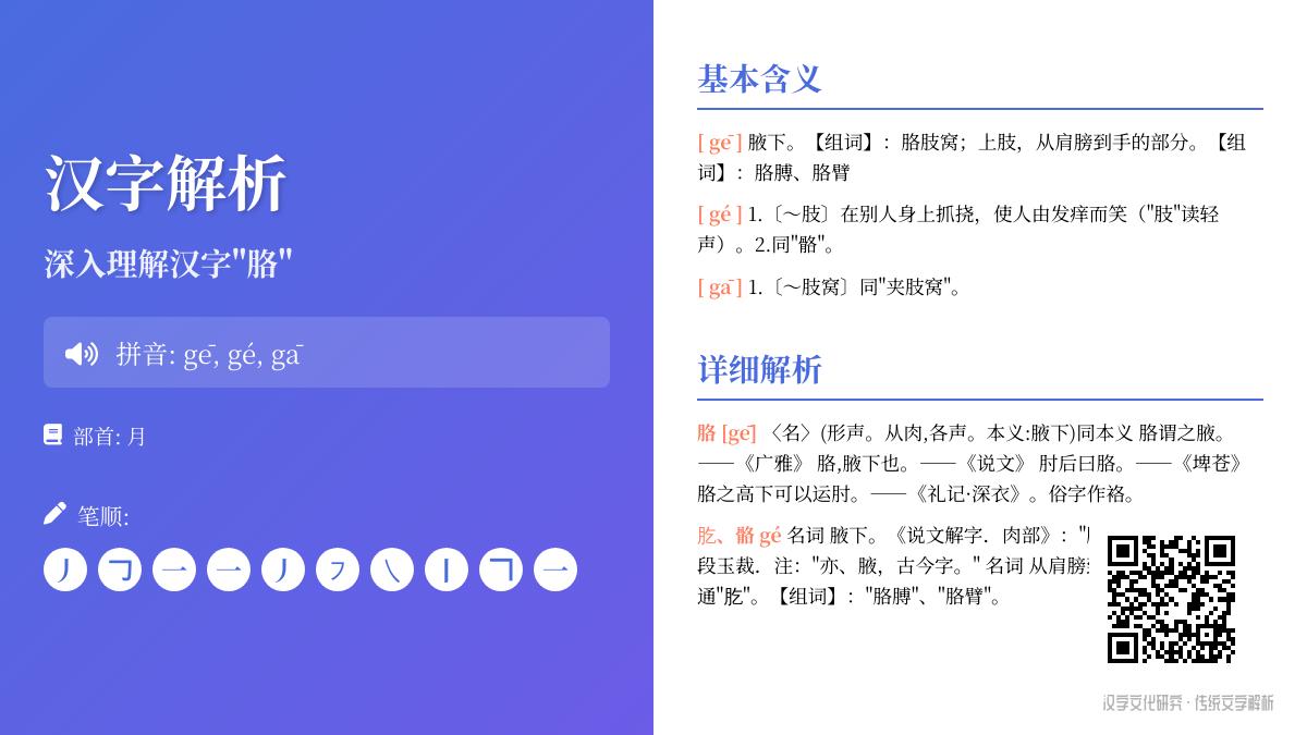 胳的拼音