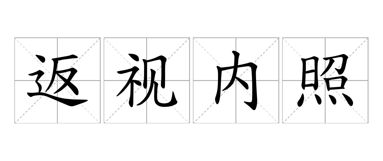 返视内照是什么意思