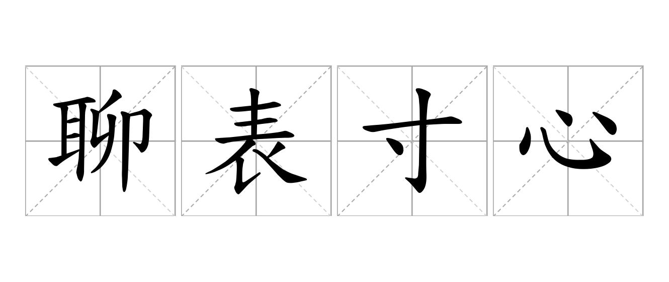 聊表寸心是什么意思