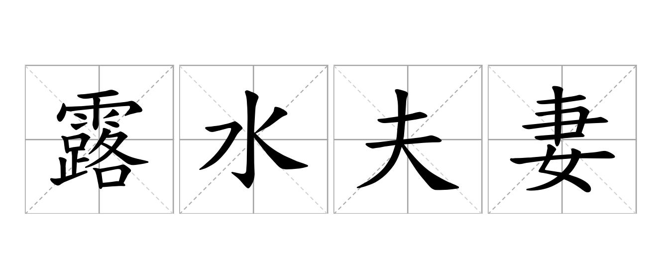 露水夫妻是什么意思