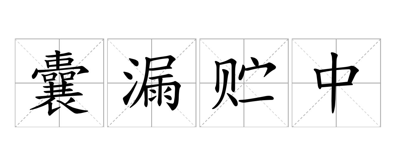 囊漏贮中是什么意思