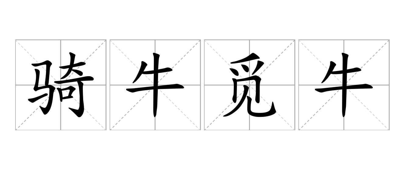 骑牛觅牛是什么意思