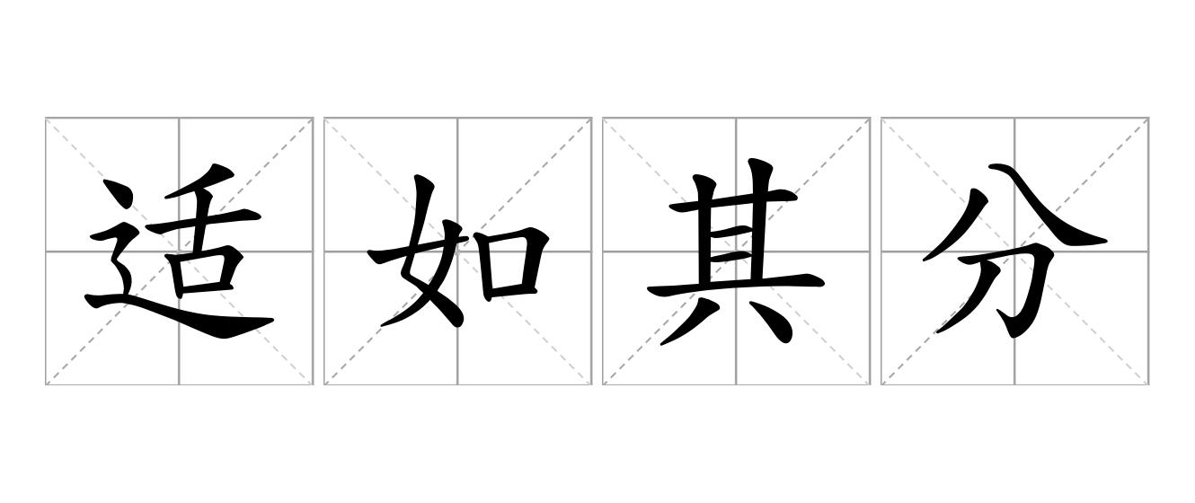 适如其分是什么意思