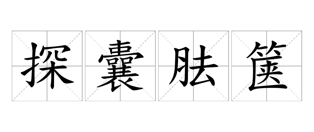 探囊胠箧是什么意思