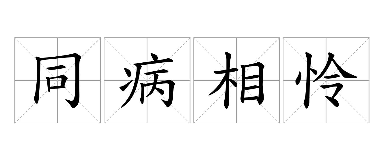 同病相怜是什么意思