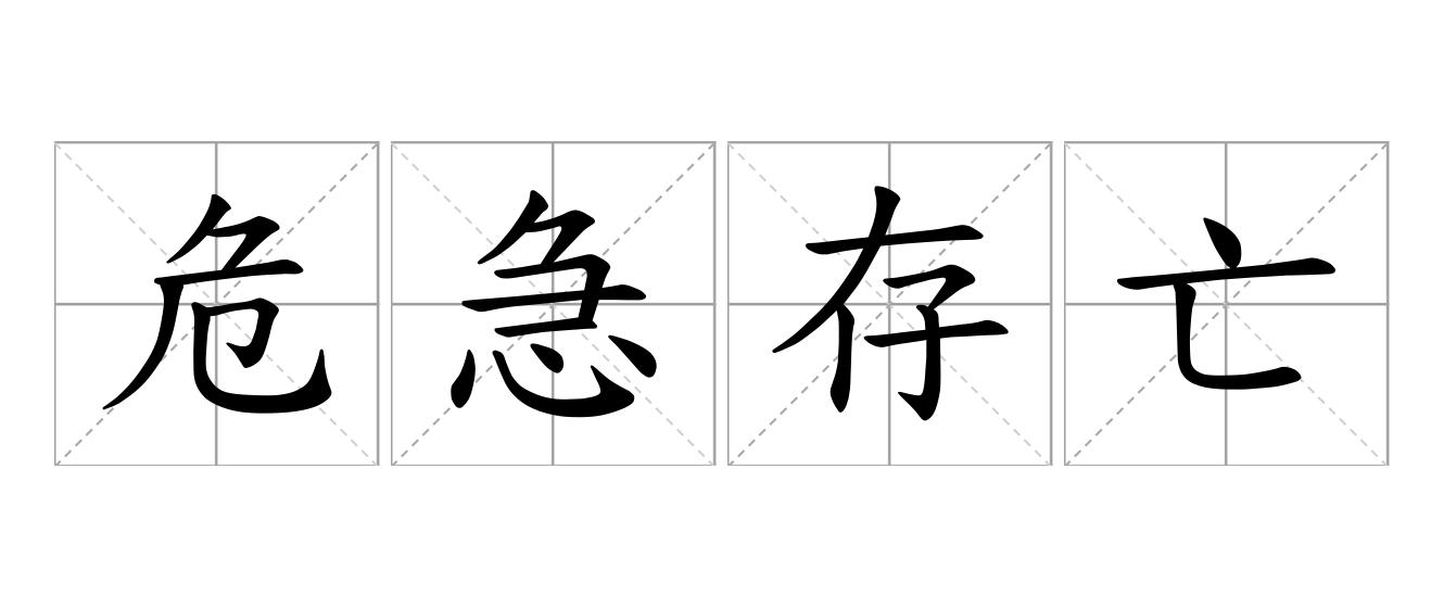 危急存亡是什么意思