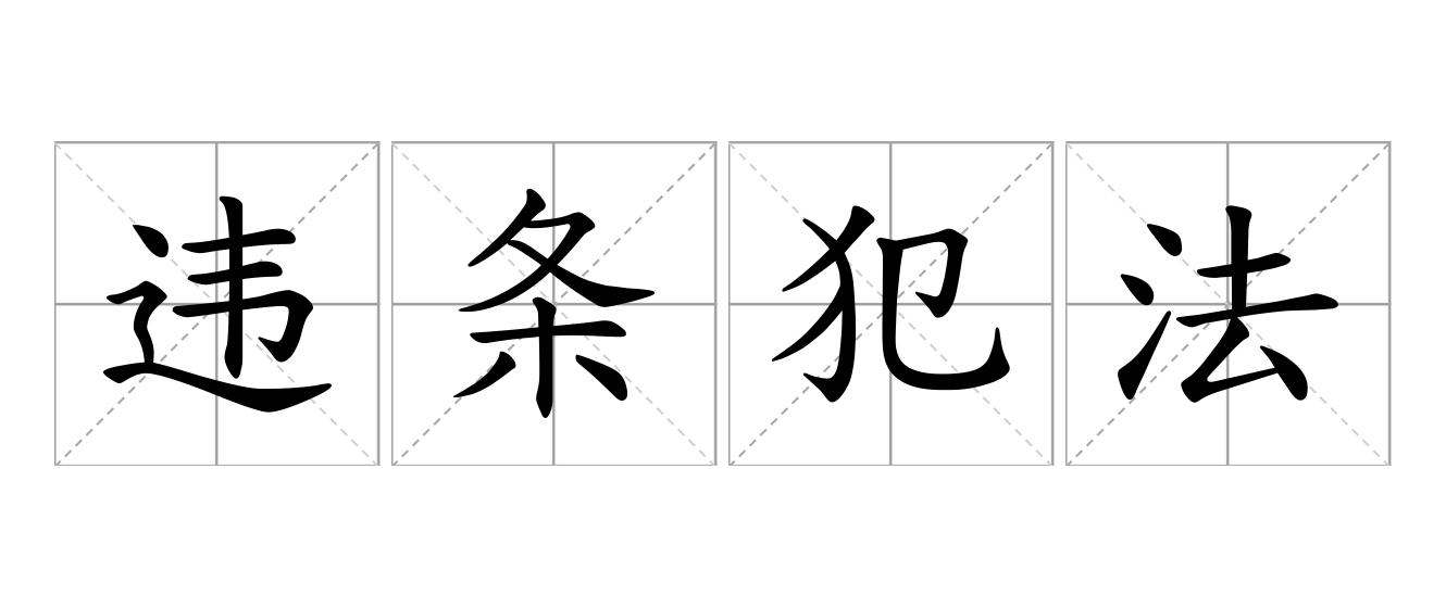 违条犯法是什么意思