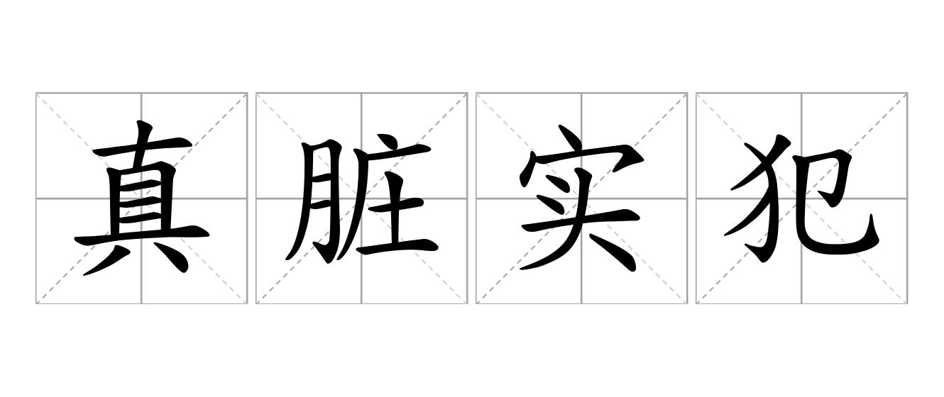 真脏实犯是什么意思