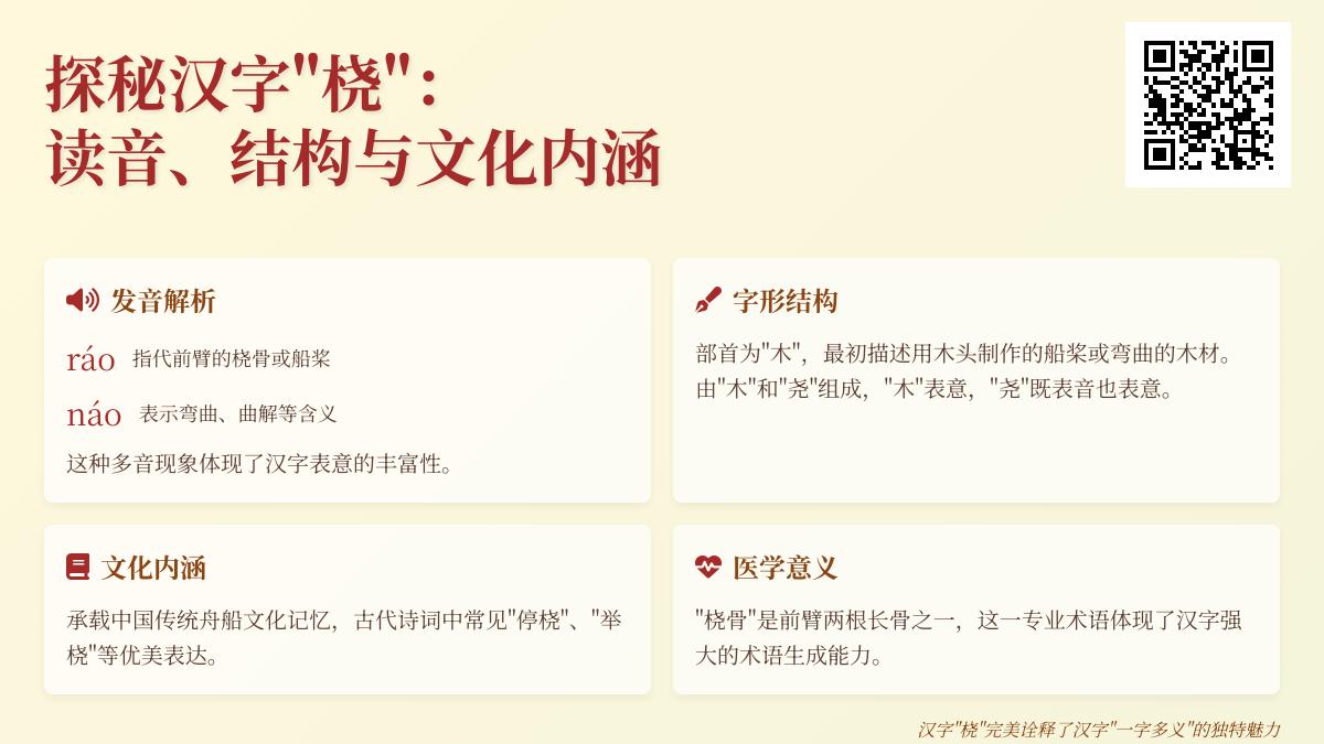汉字”桡”的正确读音是什么 解析桡骨与船桨的多重含义与文化背景