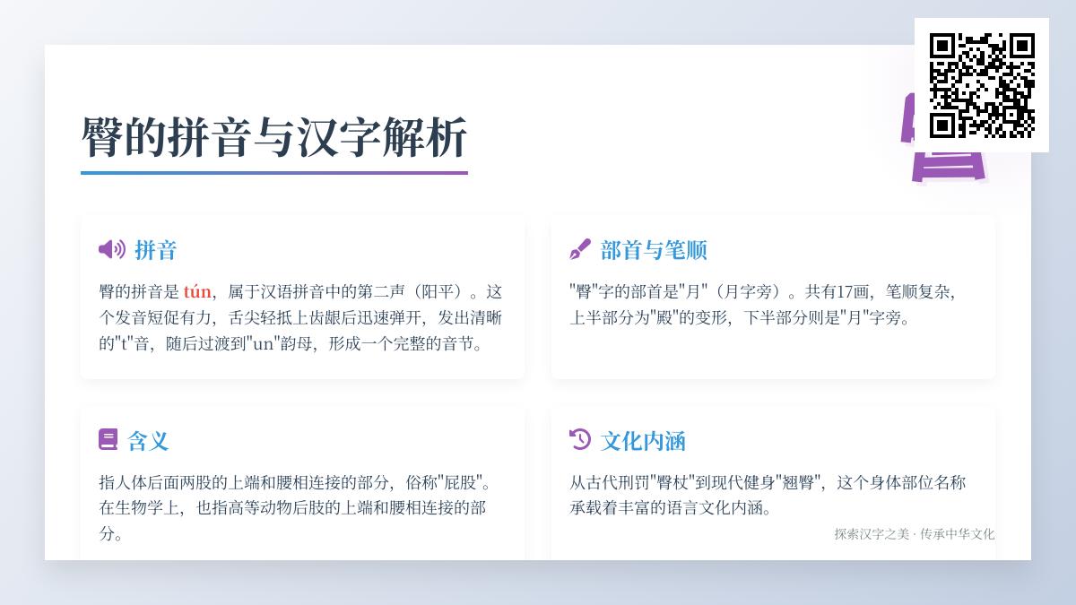 臀字拼音tún怎么读 解析17画笔顺与月字旁汉字结构