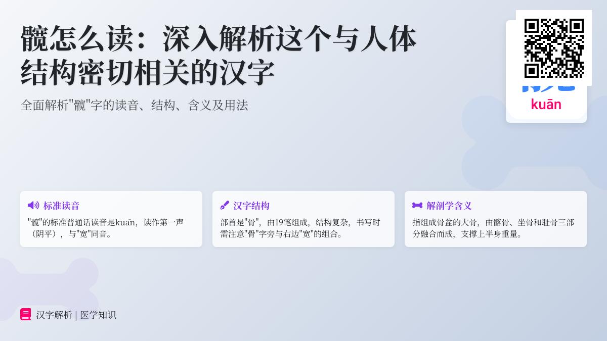 髋字怎么读kuān 解析人体髋骨结构功能与19笔正确写法