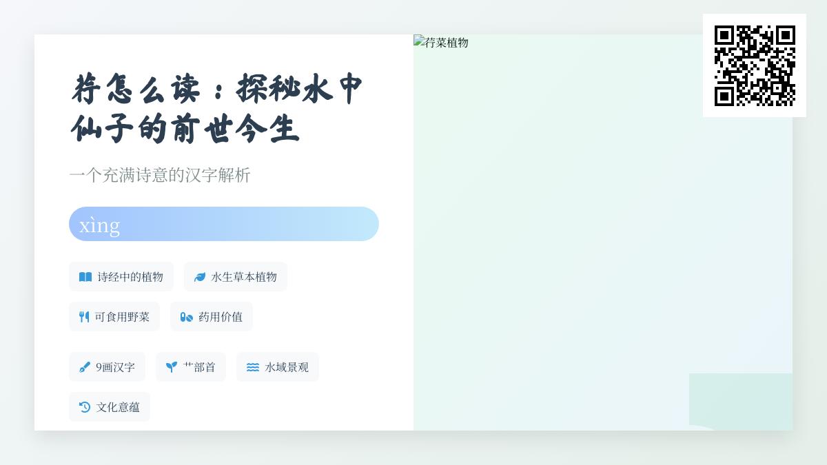 荇怎么读xìng 掌握9笔正确写法与诗经中的水生植物奥秘