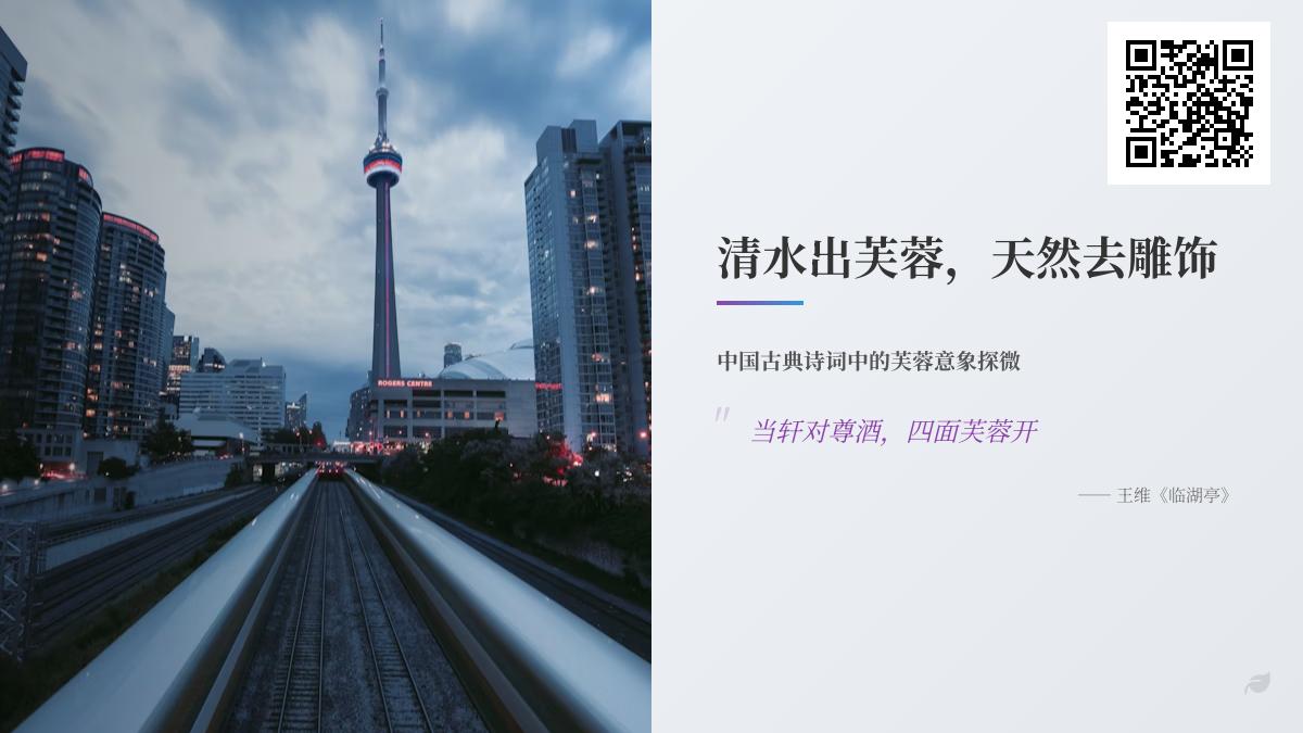 中国古典诗词中描写芙蓉的10首经典名句 清水出芙蓉的天然之美与爱情意象解析