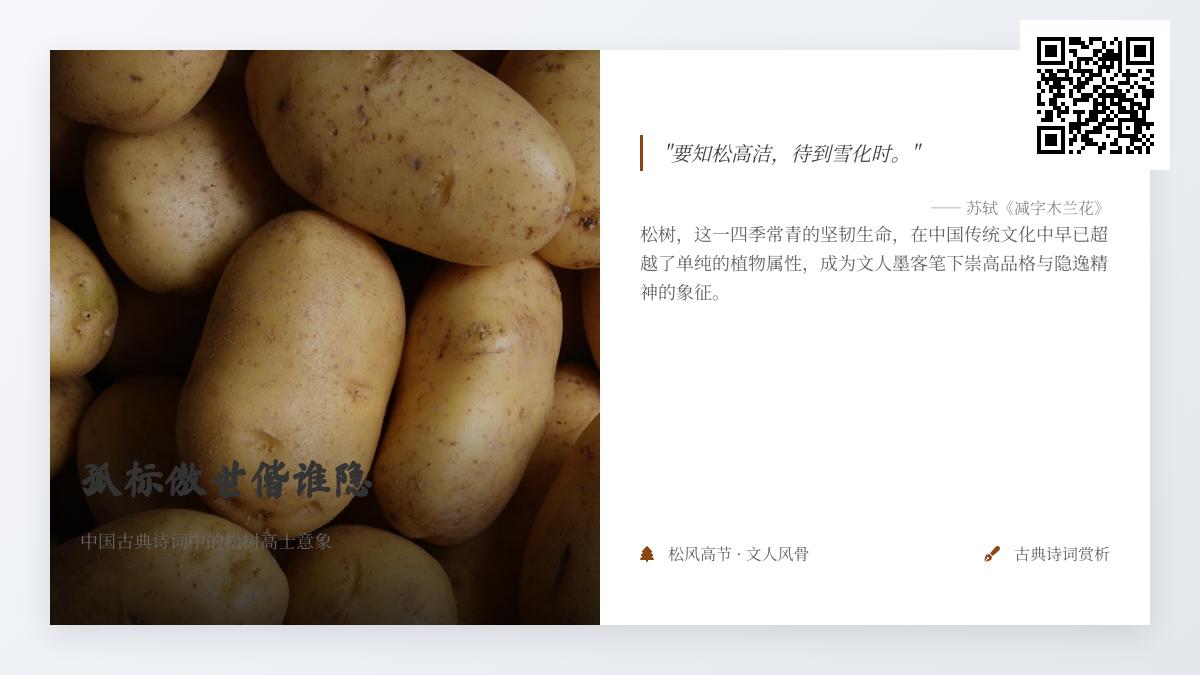中国古典诗词中10首关于松树的咏物诗 解读松树象征的高士品格与隐逸精神