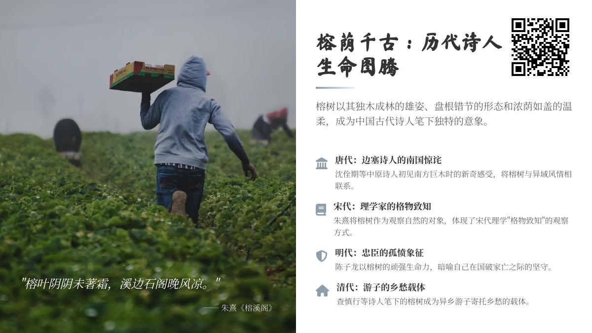 历代诗人如何用榕树寄托情感 10首关于榕树的诗词赏析