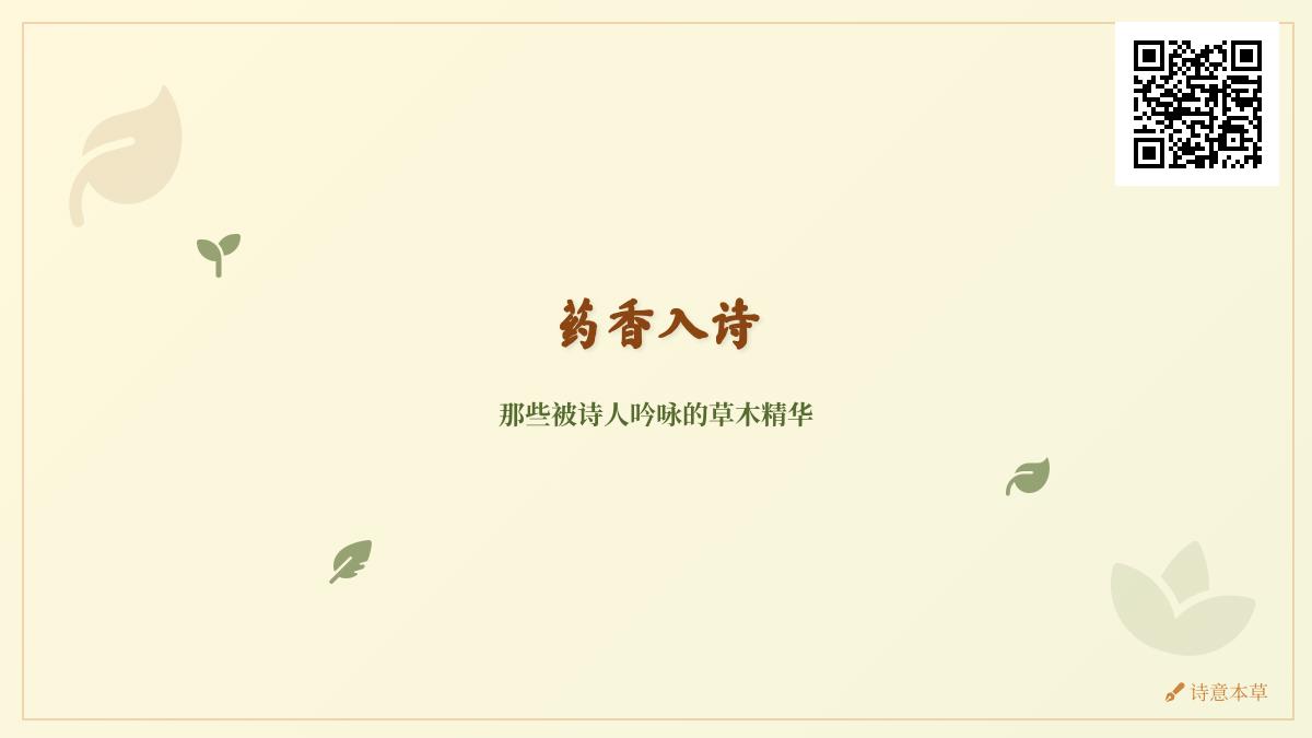 中国古代诗词中的药草意象 关于药香入诗的10首经典作品赏析