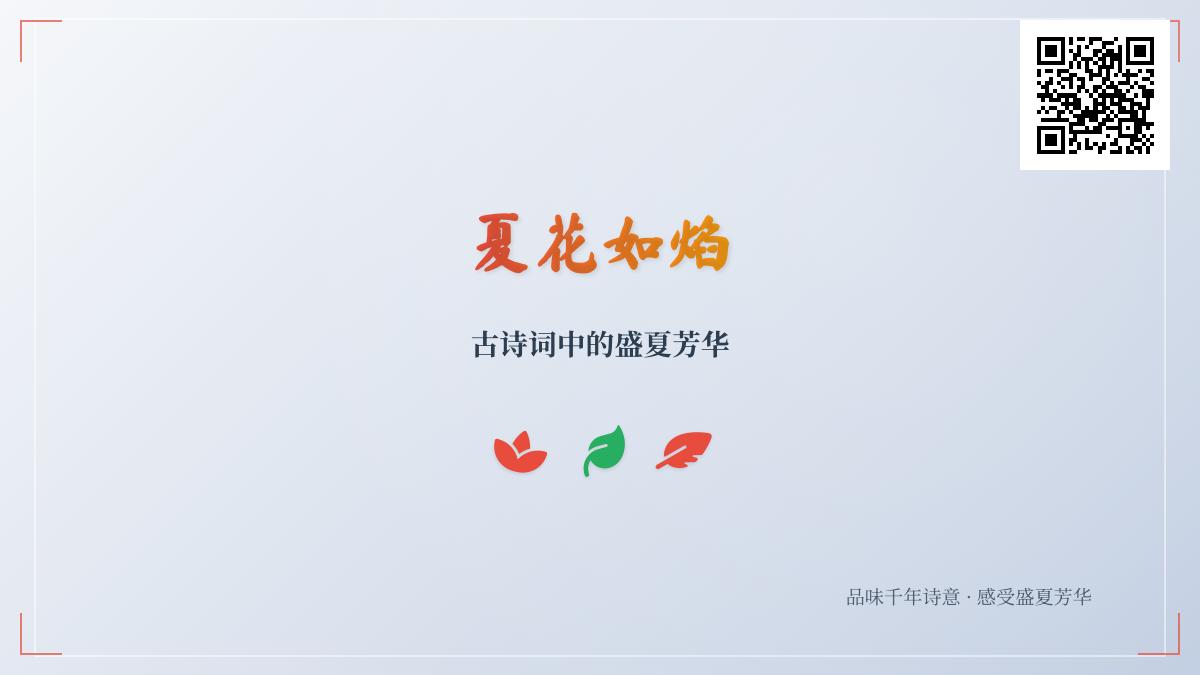 10首描写夏花的经典古诗词 领略盛夏芳华中的诗意与情感