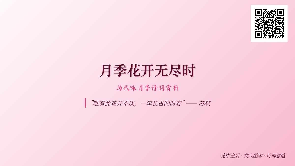 历代咏月季诗词赏析 10首写月季的经典古诗带你领略花中皇后的四季之美