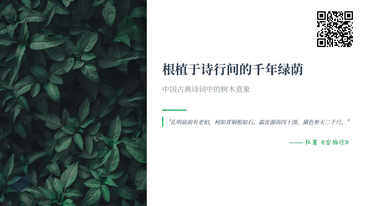 中国古典诗词中的树木意象解析 关于松柏梅竹的10首经典诗词赏析