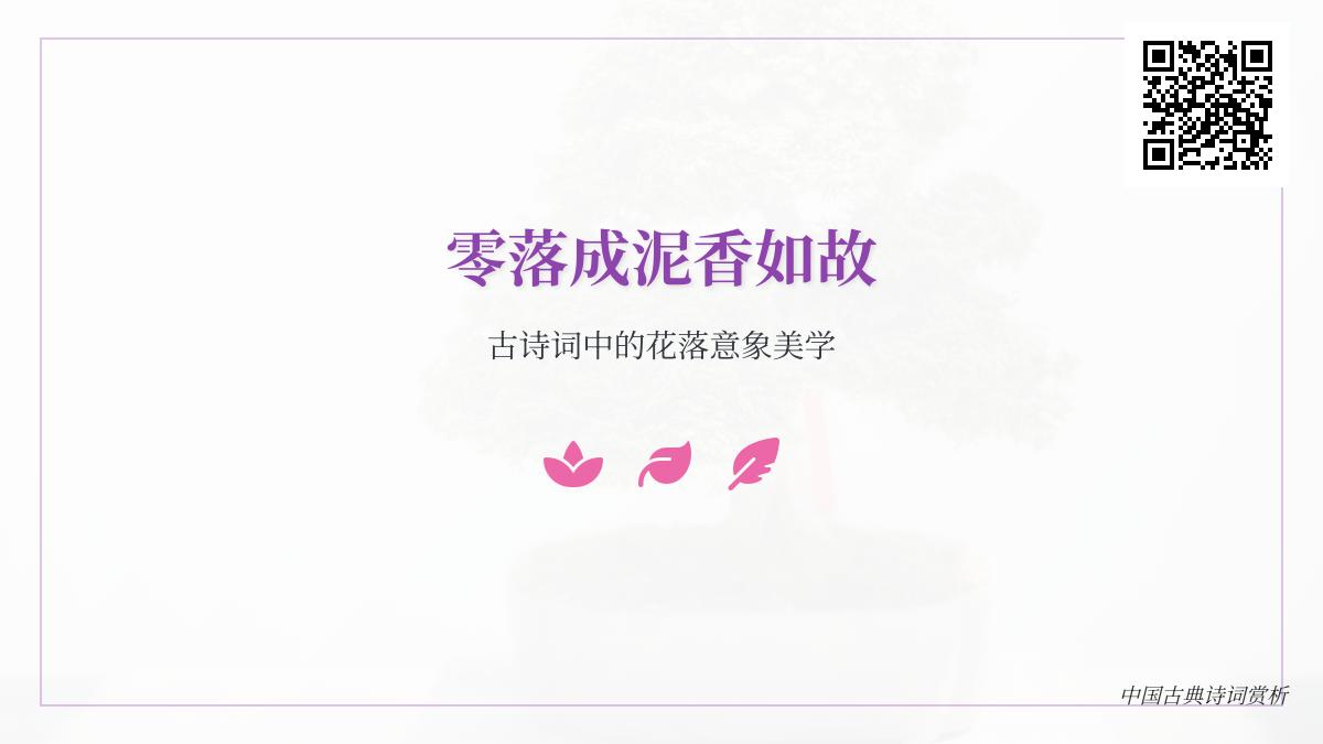 10首经典落花诗词赏析 解读古诗词中花落意象的深刻美学与情感寄托