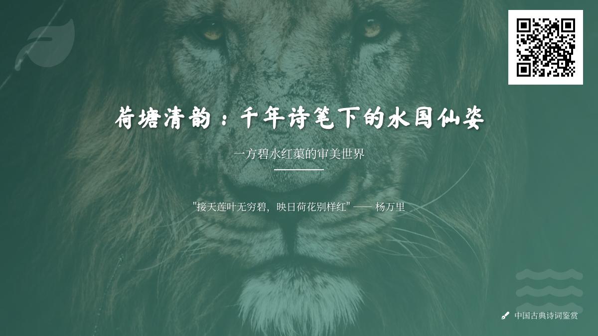 10首关于荷塘的经典诗词 领略千年文人笔下的水国仙姿与诗意情怀
