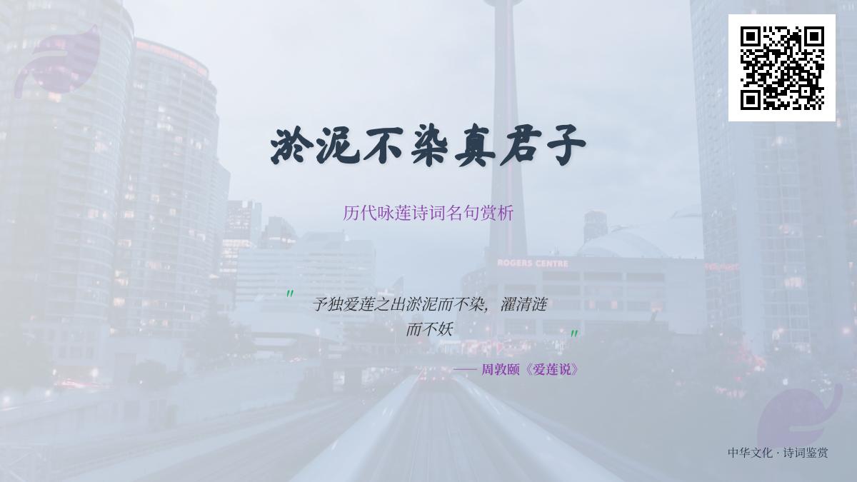 历代咏莲诗词名句赏析 关于莲花的高洁品格与君子意象