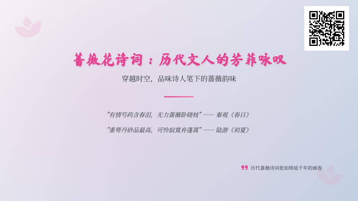 历代文人如何咏叹蔷薇 50首关于蔷薇的诗词带你领略唐宋明清的芳菲之美
