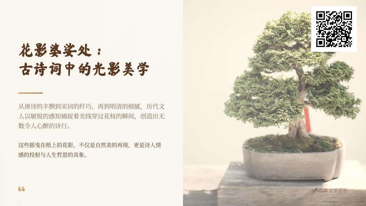 唐宋明清诗词中的花影美学 赏析古人笔下关于光影的30首经典诗句